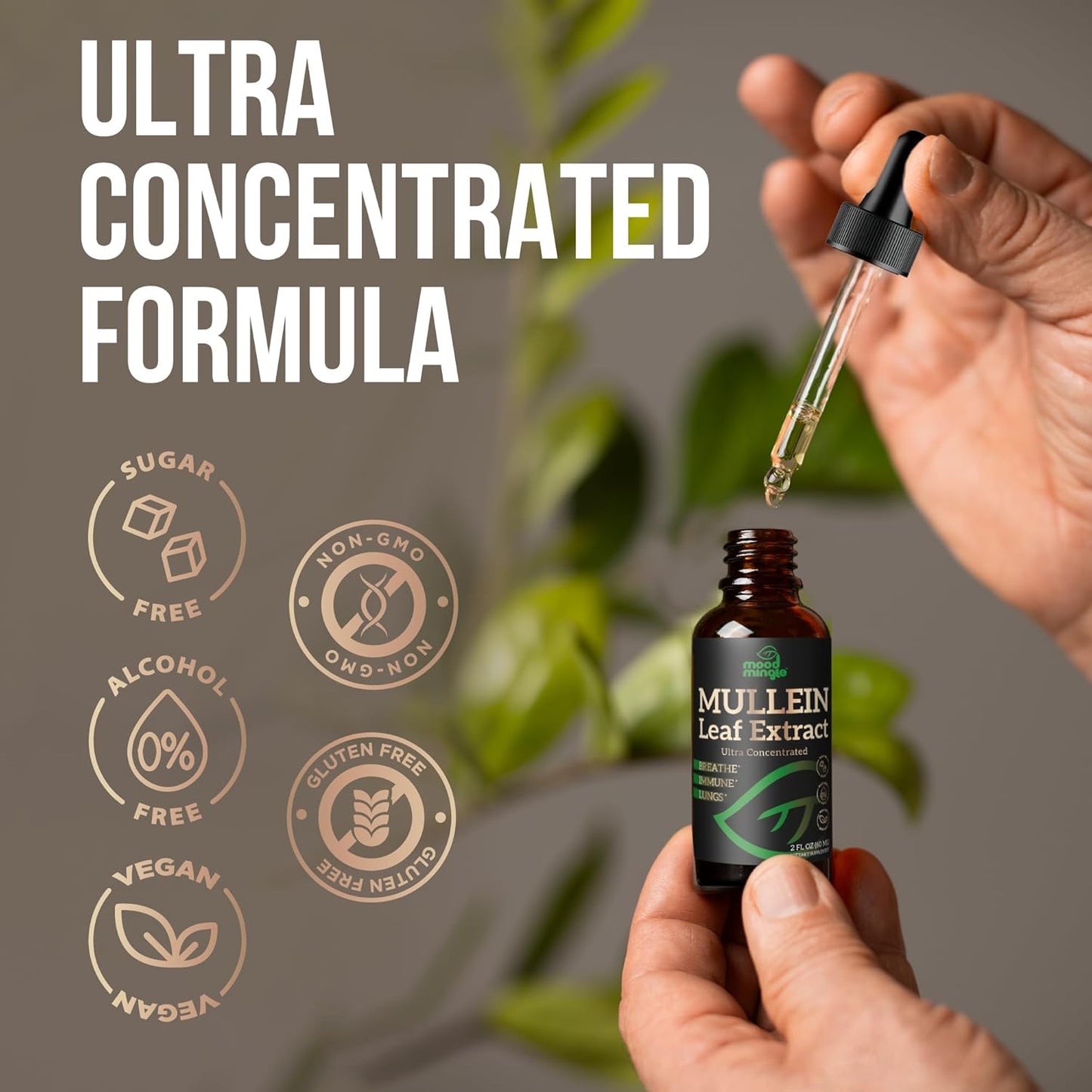 MoodMingle Mullein Leaf Extract