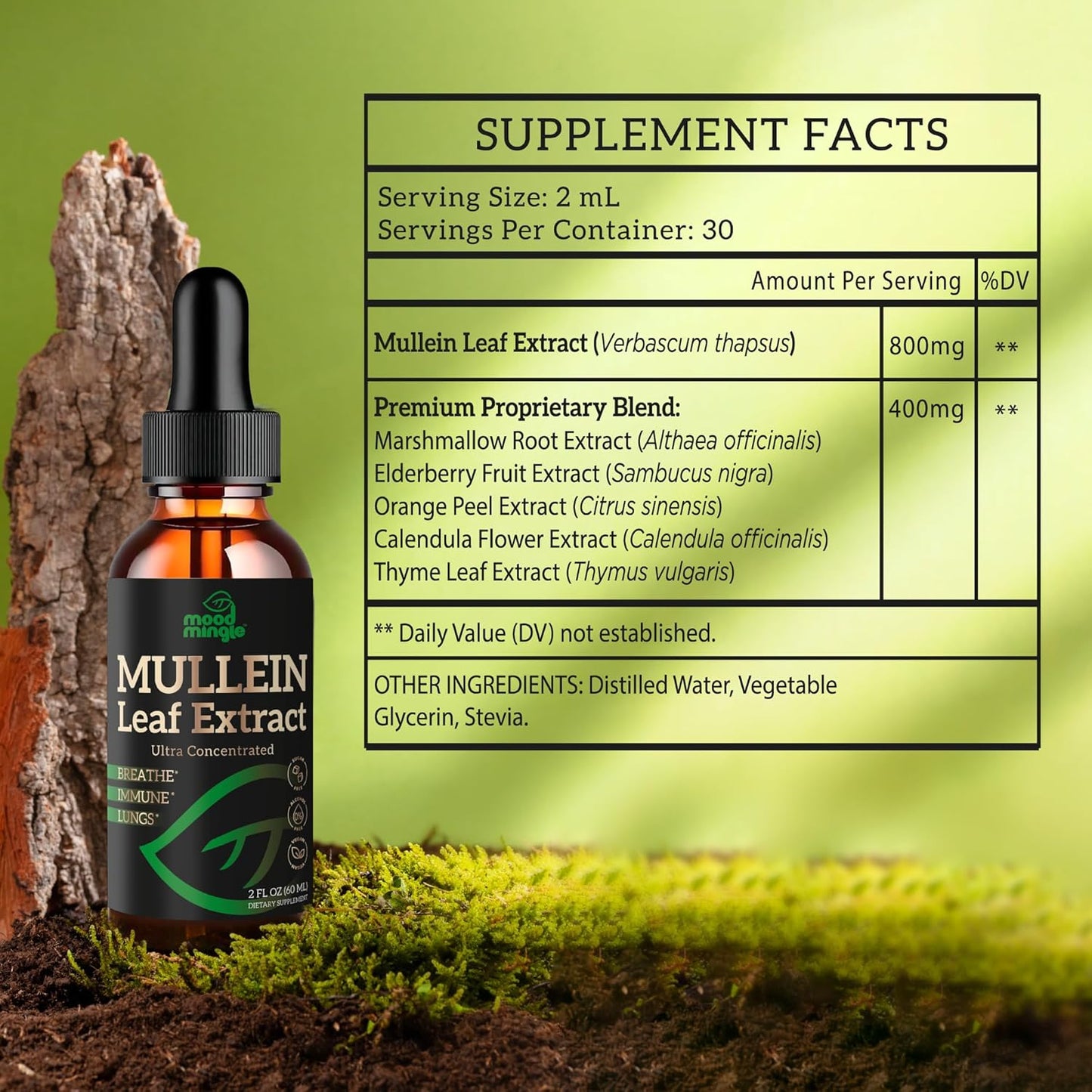MoodMingle Mullein Leaf Extract